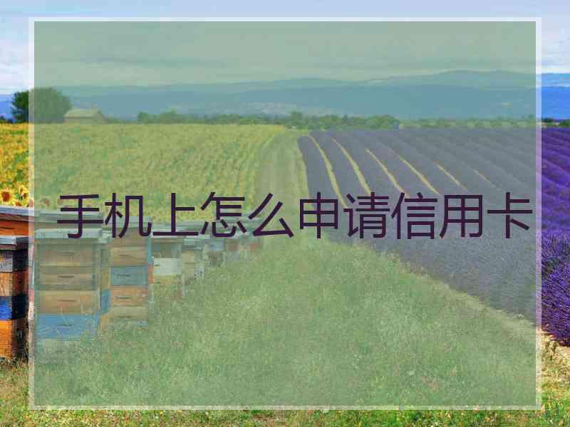 手机上怎么申请信用卡