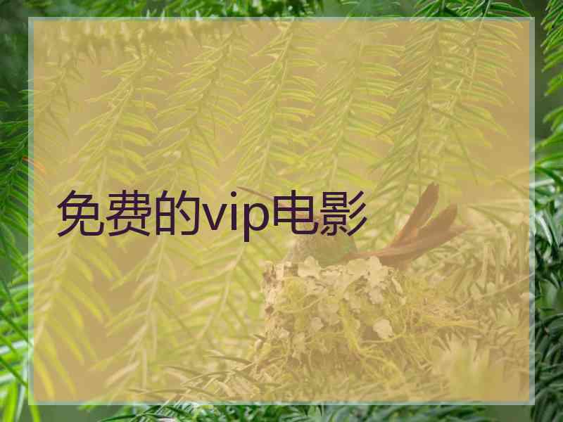 免费的vip电影
