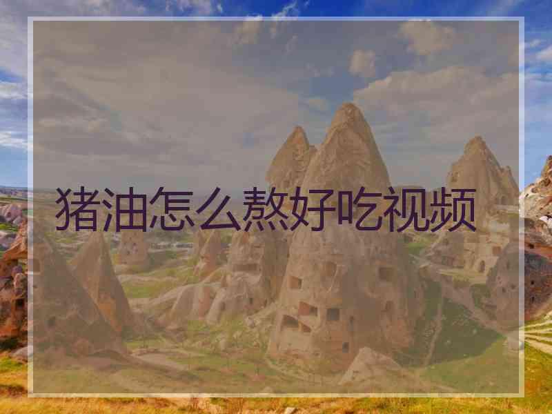 猪油怎么熬好吃视频