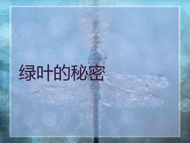 绿叶的秘密