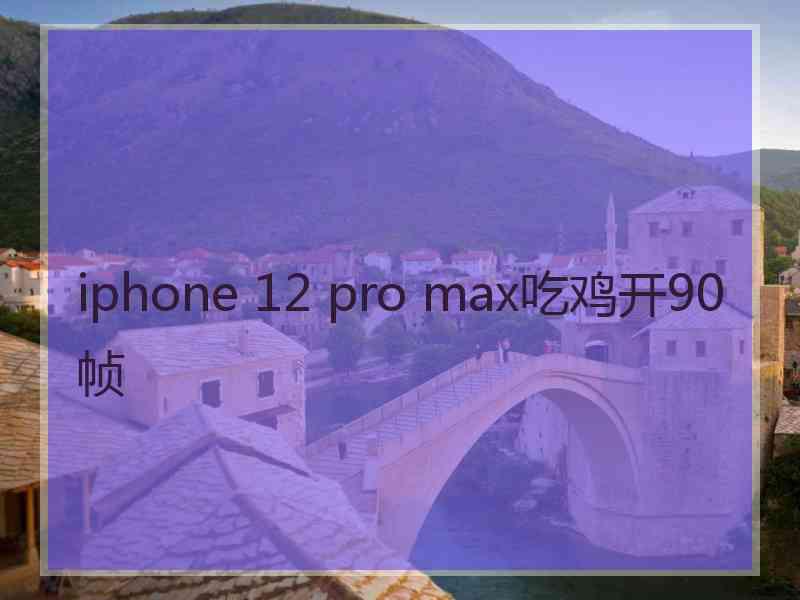 iphone 12 pro max吃鸡开90帧