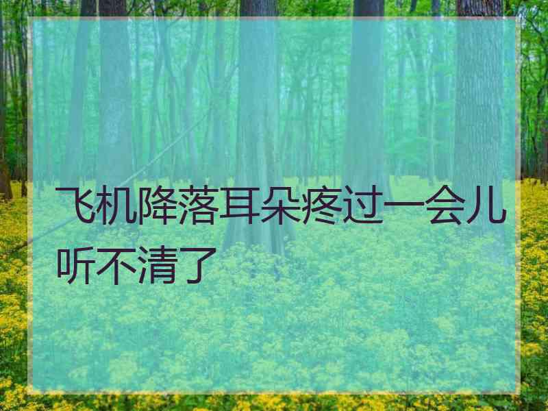 飞机降落耳朵疼过一会儿听不清了