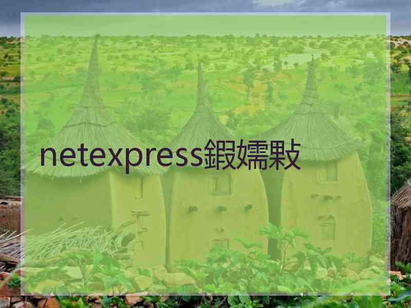 netexpress鍜嬬敤