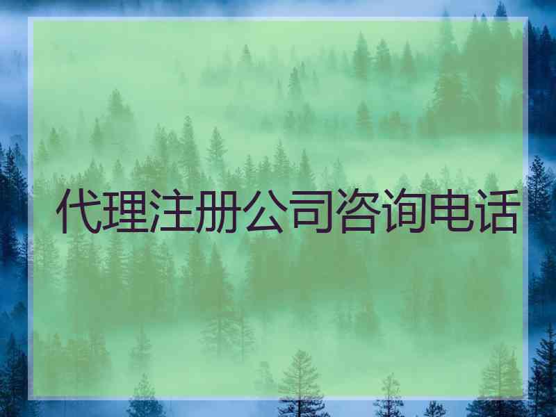 代理注册公司咨询电话