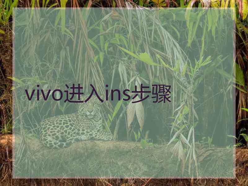 vivo进入ins步骤