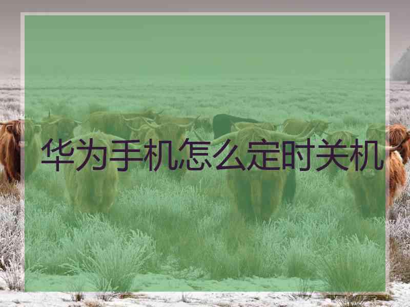 华为手机怎么定时关机