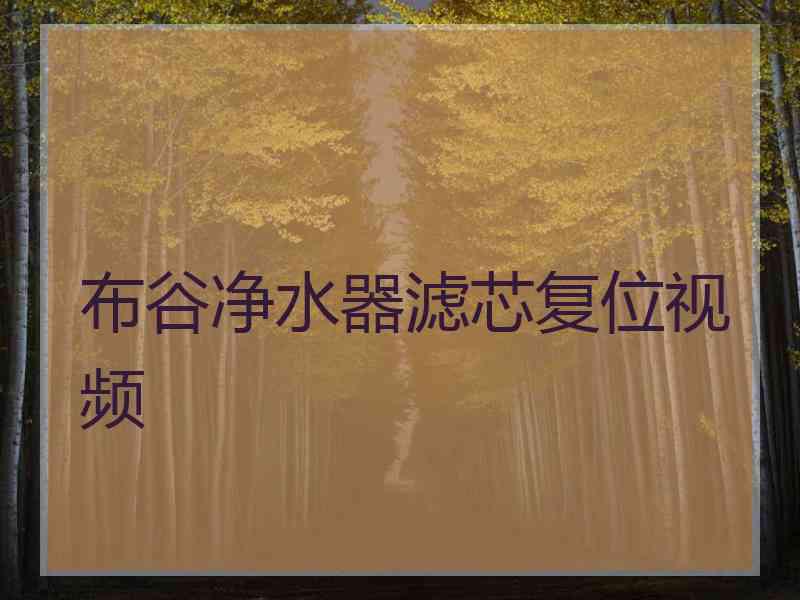 布谷净水器滤芯复位视频