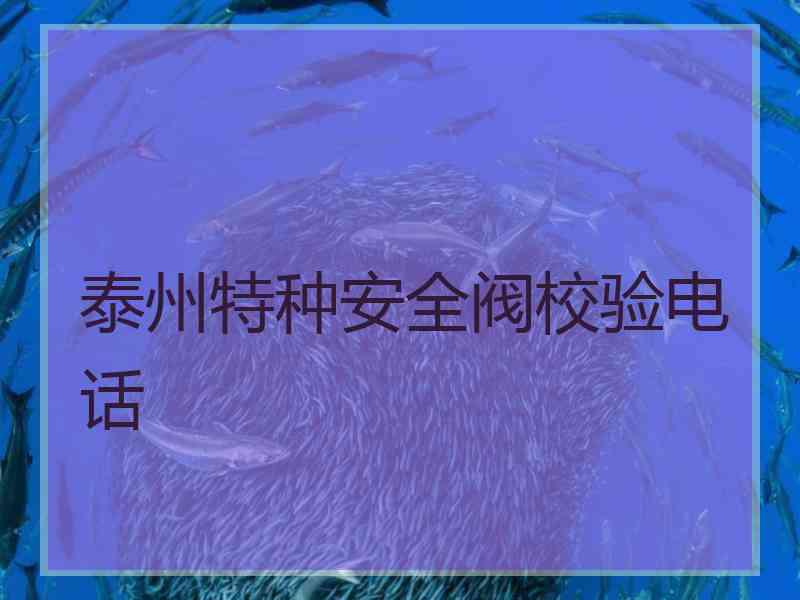 泰州特种安全阀校验电话