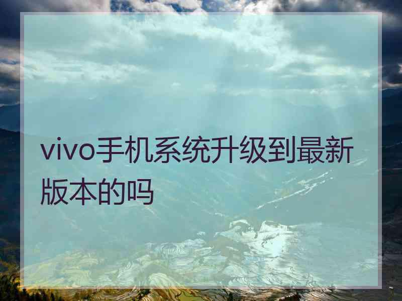 vivo手机系统升级到最新版本的吗