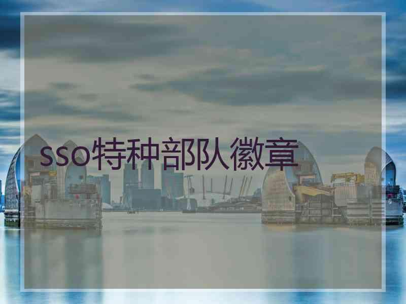 sso特种部队徽章