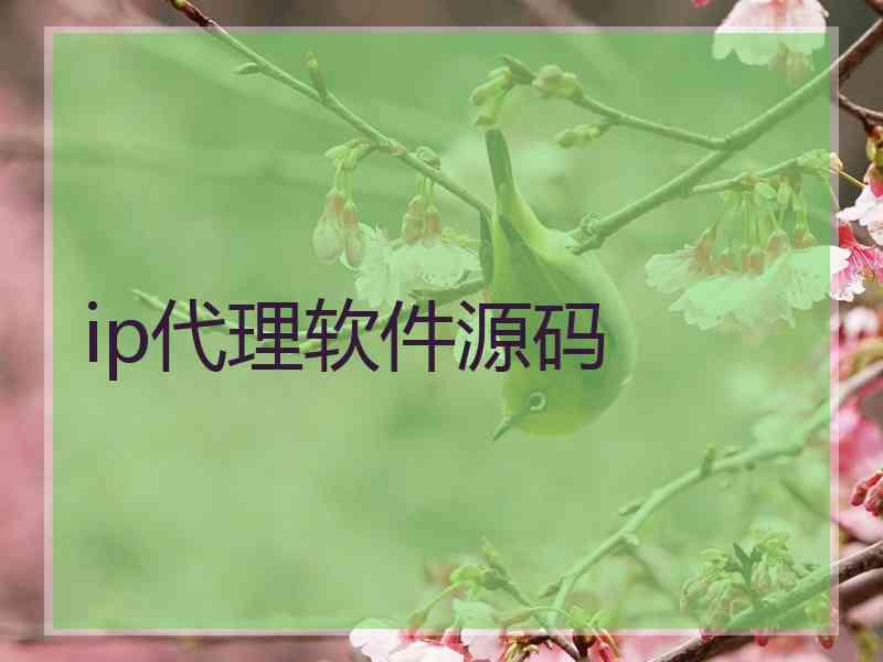 ip代理软件源码