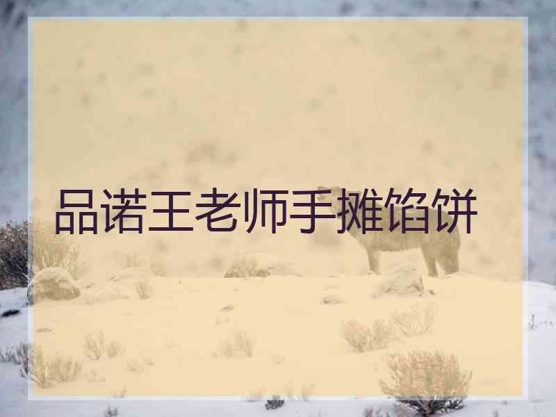 品诺王老师手摊馅饼