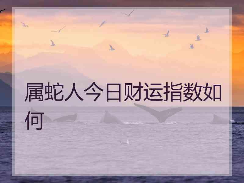 属蛇人今日财运指数如何