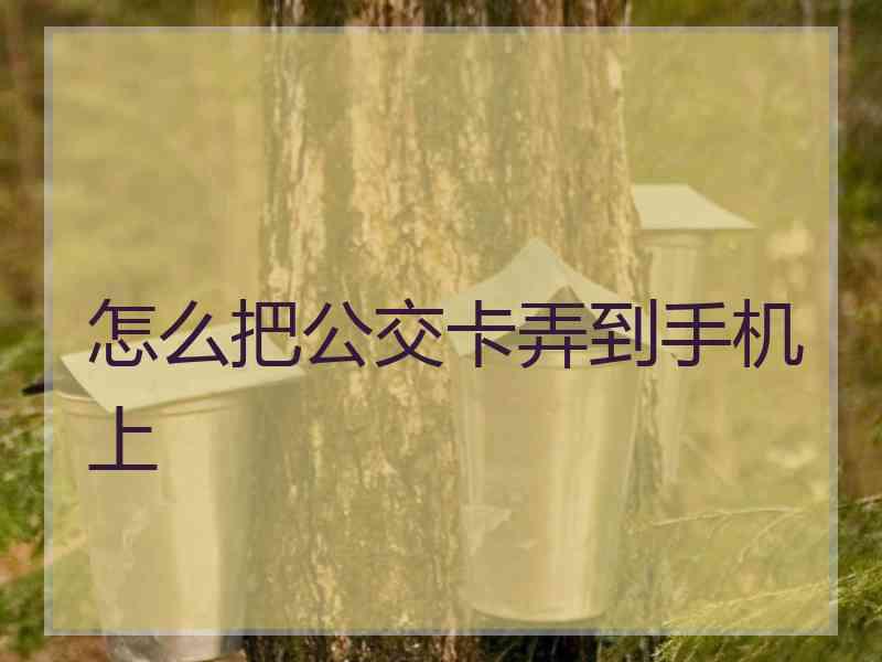 怎么把公交卡弄到手机上