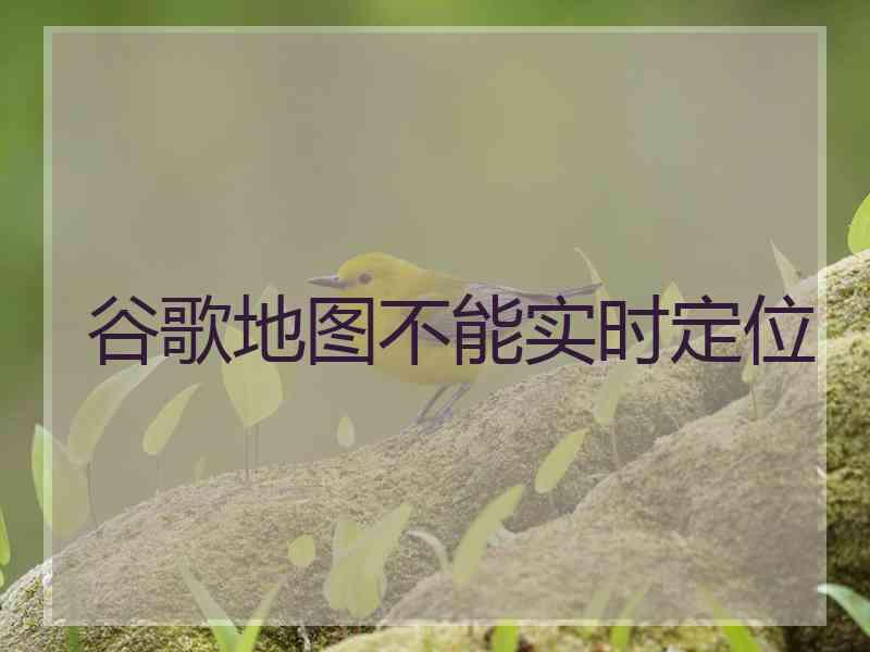 谷歌地图不能实时定位