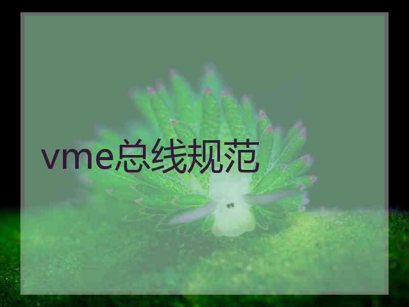 vme总线规范