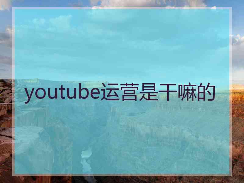youtube运营是干嘛的