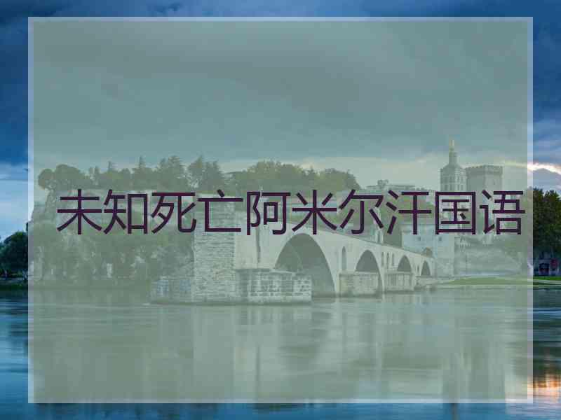未知死亡阿米尔汗国语