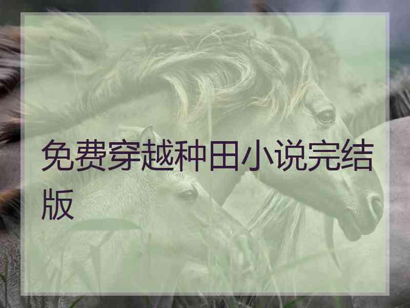 免费穿越种田小说完结版