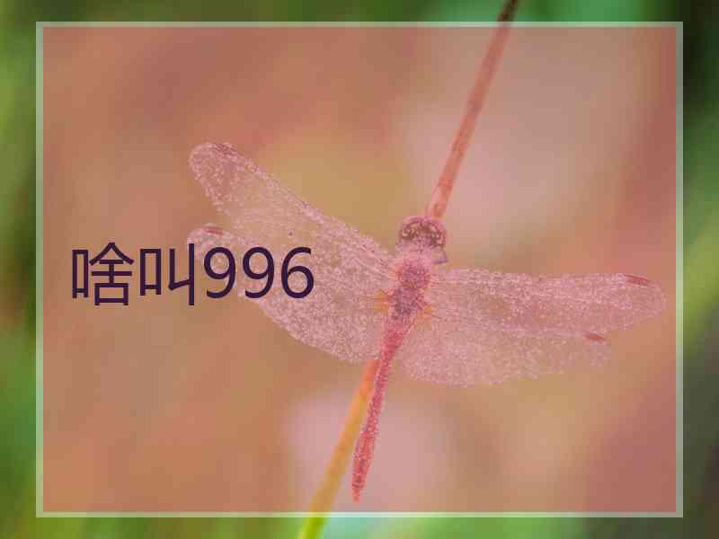啥叫996