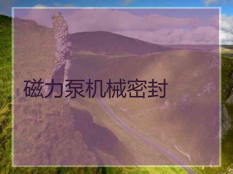 磁力泵机械密封