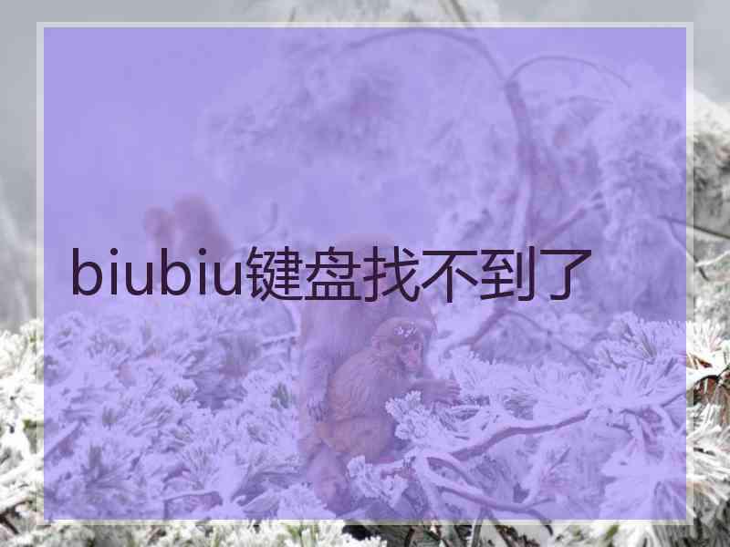 biubiu键盘找不到了