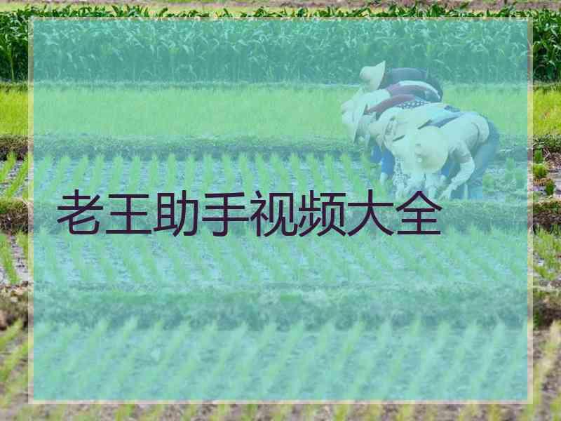 老王助手视频大全