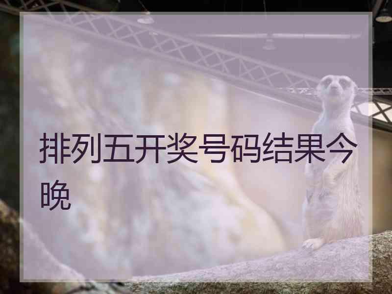 排列五开奖号码结果今晚