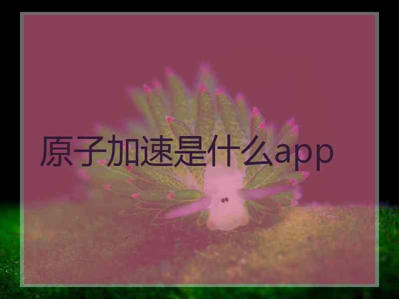 原子加速是什么app