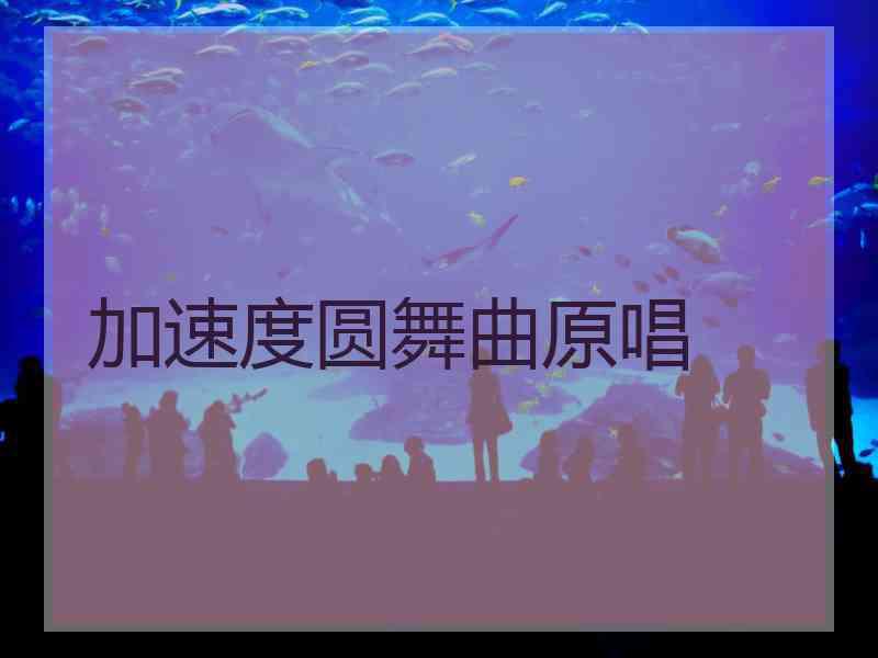 加速度圆舞曲原唱