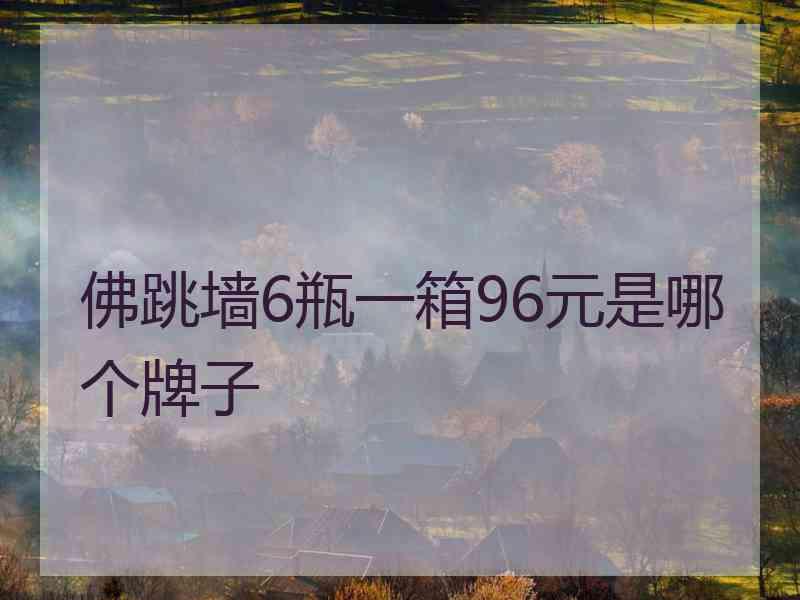 佛跳墙6瓶一箱96元是哪个牌子