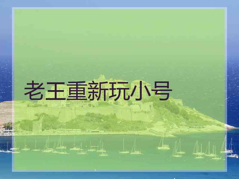 老王重新玩小号