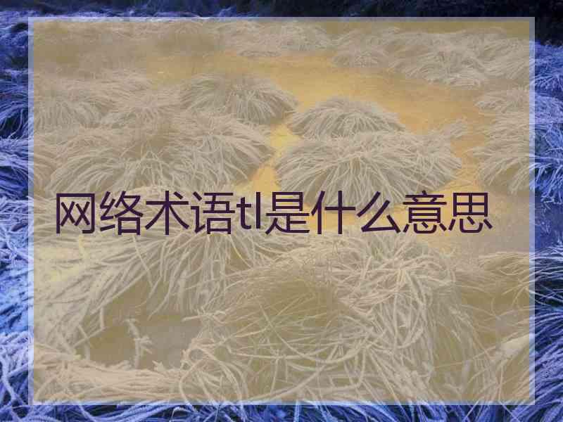 网络术语tl是什么意思