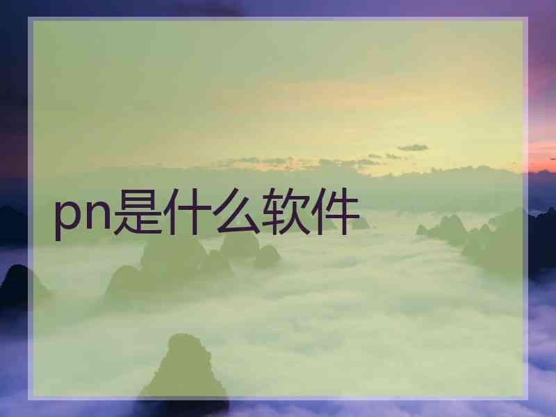 pn是什么软件