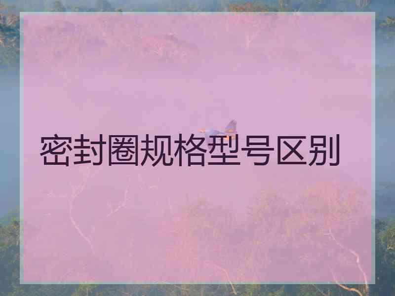 密封圈规格型号区别