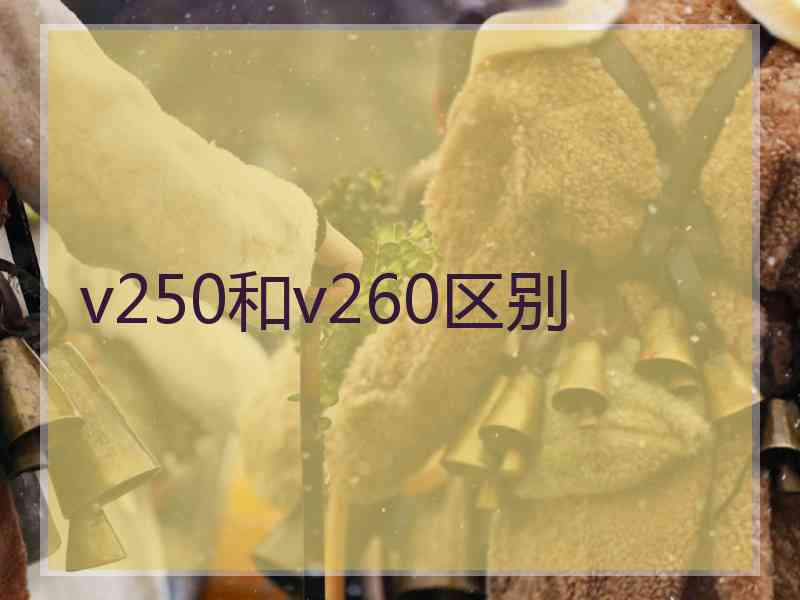 v250和v260区别