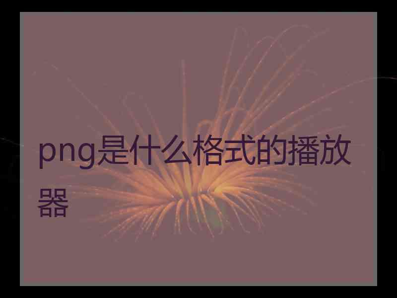 png是什么格式的播放器