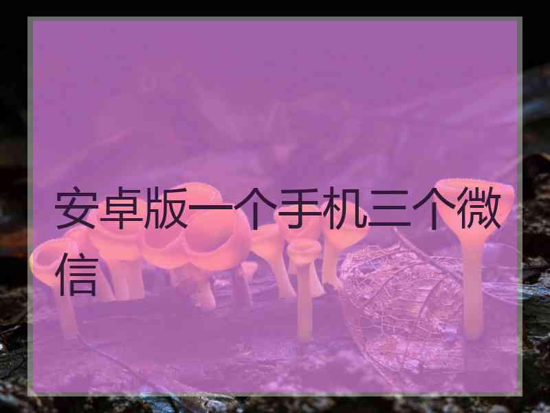安卓版一个手机三个微信