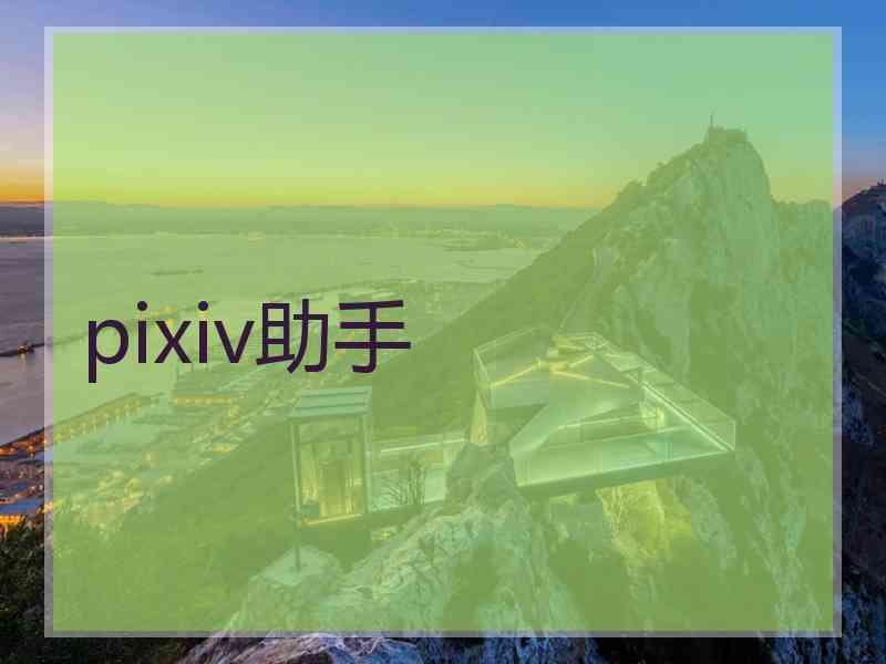pixiv助手