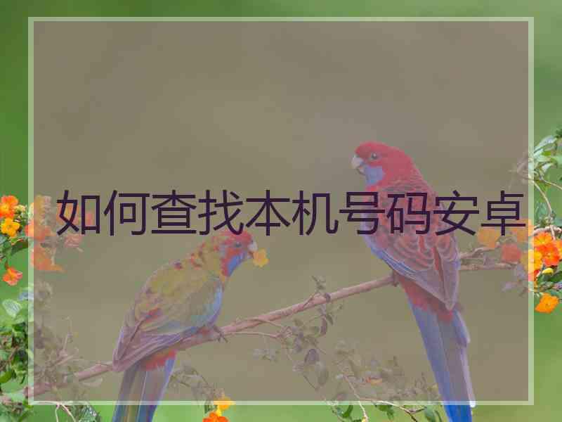 如何查找本机号码安卓