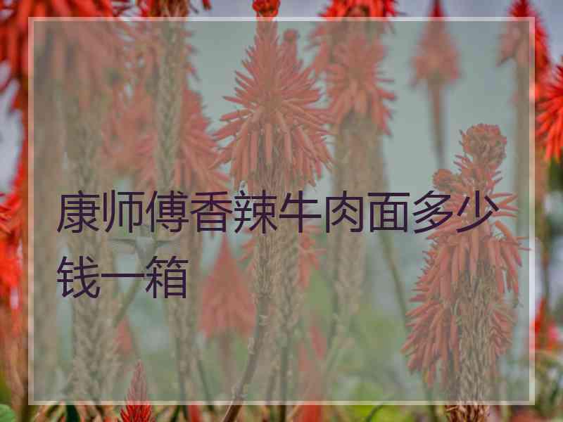 康师傅香辣牛肉面多少钱一箱