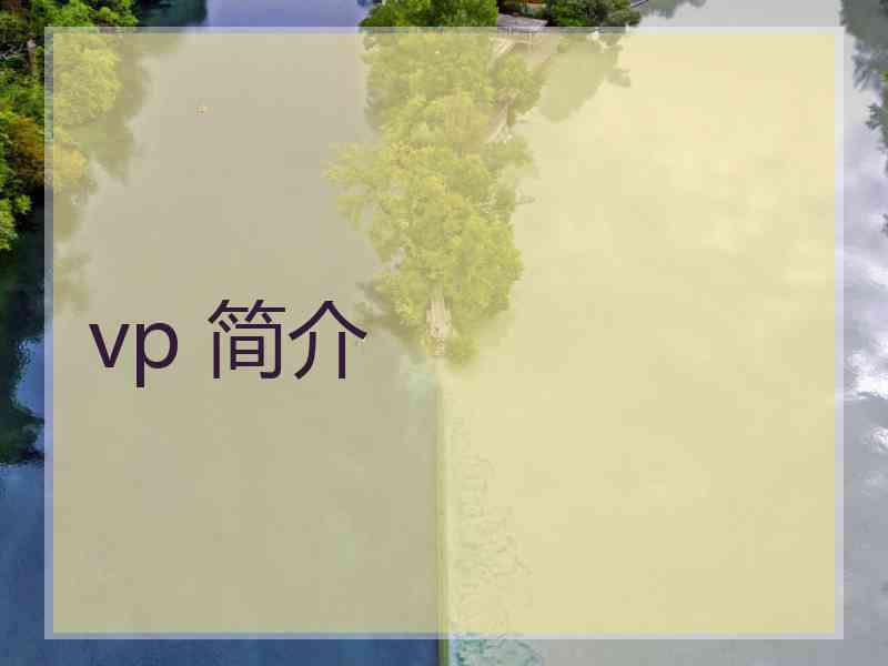 vp 简介