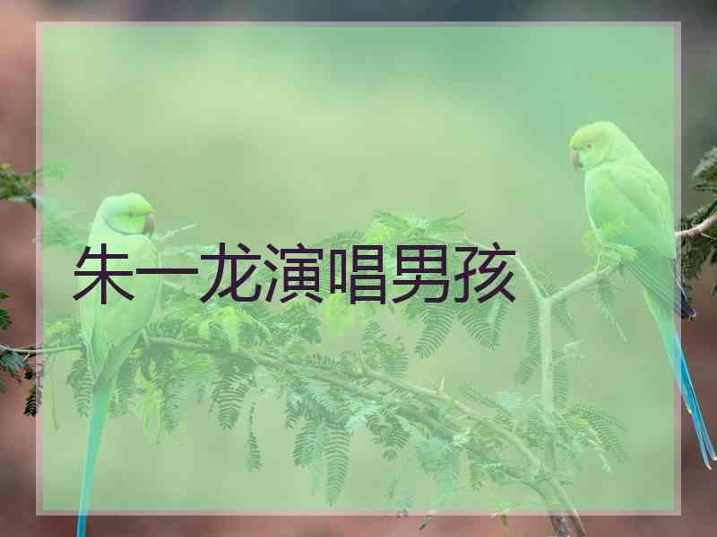 朱一龙演唱男孩