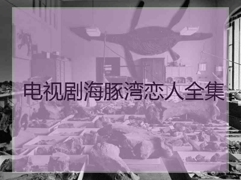 电视剧海豚湾恋人全集