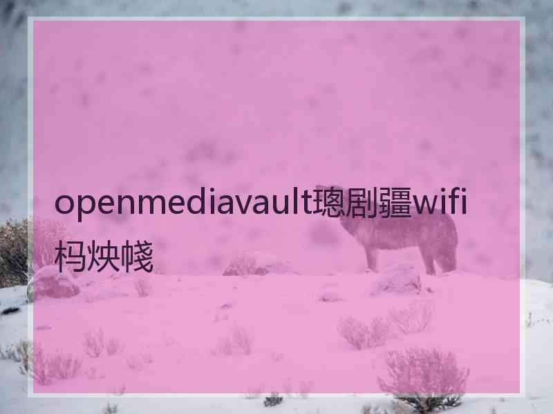 openmediavault璁剧疆wifi杩炴帴