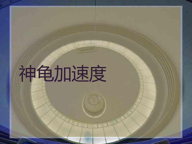 神龟加速度