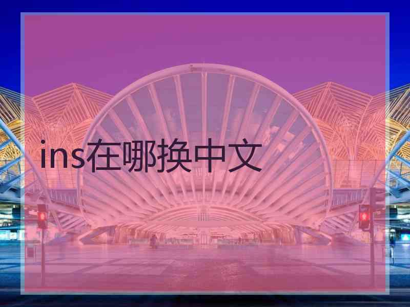ins在哪换中文
