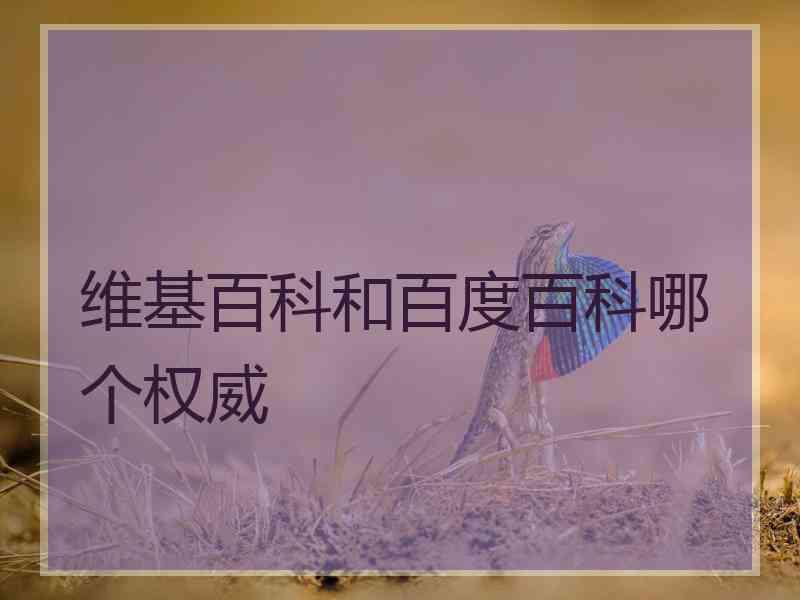 维基百科和百度百科哪个权威