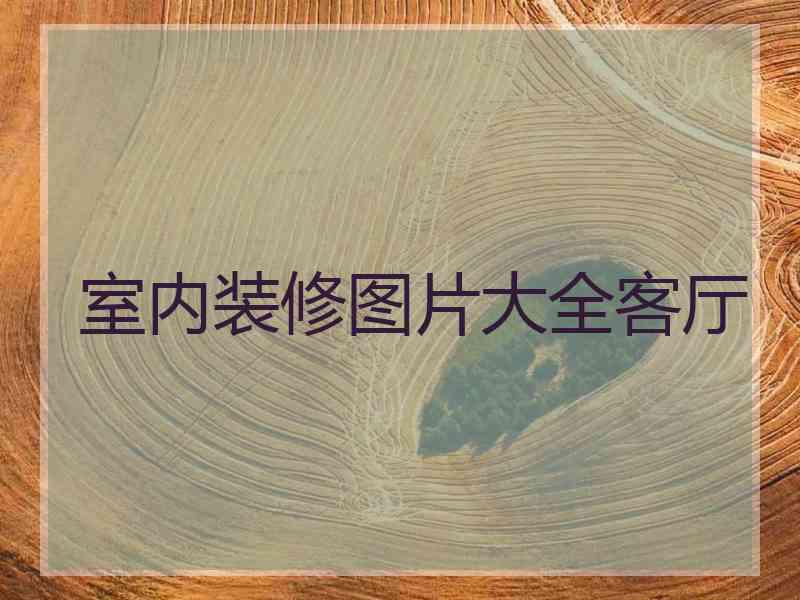 室内装修图片大全客厅
