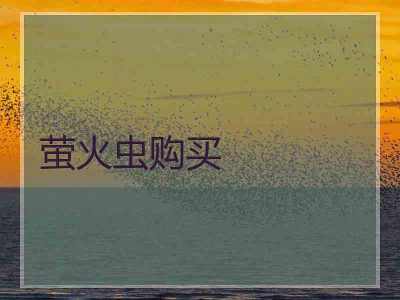 萤火虫购买